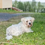 Itaerajan Helmi Vakantieboerderij Tohmajärvi