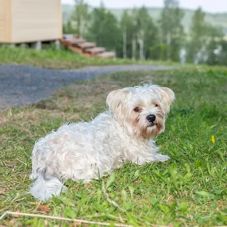 Itaerajan Helmi Farmház Tohmajärvi