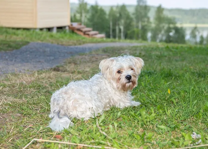 Itaerajan Helmi Alojamento de Turismo Rural Tohmajärvi